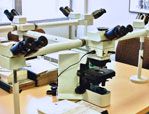 Microscope